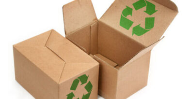 Best Ways to Stay Eco-Friendly While Moving