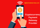 Cryptocurrency Payment Gateway Provider