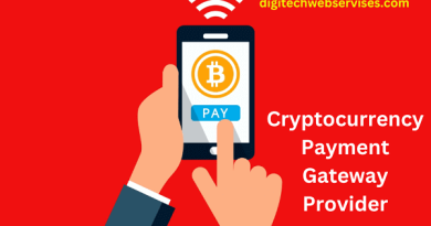 Cryptocurrency Payment Gateway Provider